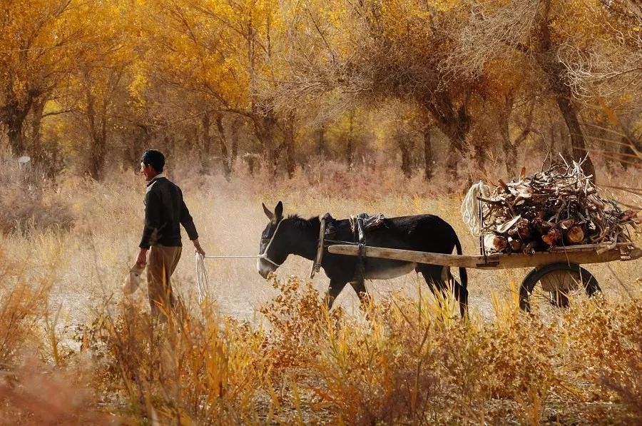 北京私家車(chē)運(yùn)輸，讓你實(shí)現(xiàn)說(shuō)走就走的旅行(圖1)